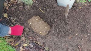 Пушкиния. Посадка