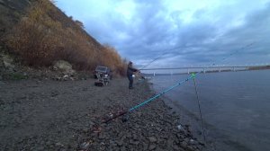 донской лещ на фидер с берега #рыбалка #лещ #дон #осень