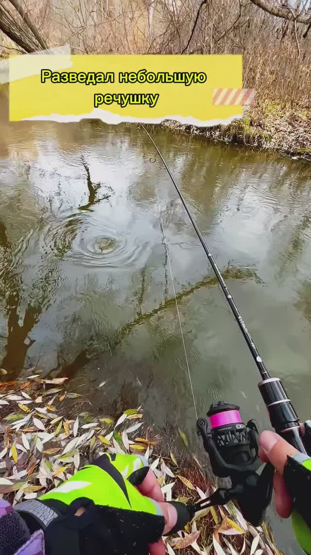 Разведал меленькую речушку