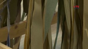 Губернские новости. 4.11.2025