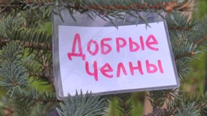 Аллея волонтёров и общественных организаций появилась сегодня в городе