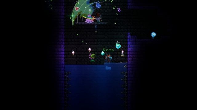 ХАРДОВАЯ СОЛЯНКА (krozzor, doroko, neko, zicoriz, мяу, cvyn.) смотреть онлайн