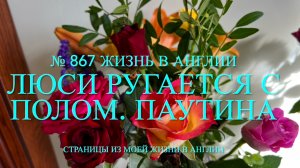 Люси ругается с Полом. Везде паутина. № 867 Жизнь в Англии