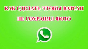 Как Сделать Чтобы Ватсап Не Сохранял Фото на Телефон