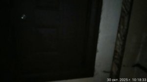 30.10.2025  музыка кв4. Результат деятельности полиции. Оренбург.