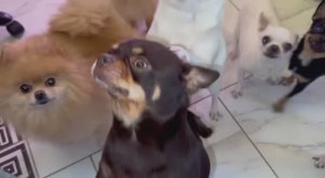 Сегодня все нагрызутся в доволь.