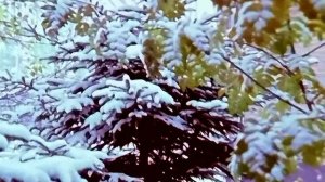 1986 год. Тюмень. Поздняя осень