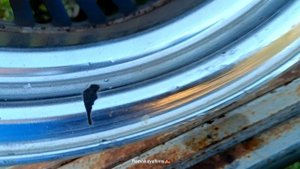 Carving Head внутрянка R17