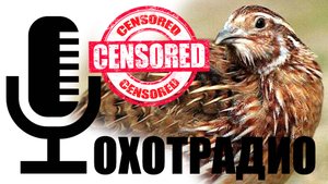 РАЗГОВОРЫ ПРО РУЖЬЯ ПЕРИОДА 40-50 ГОДОВ / ОХОТРАДИО