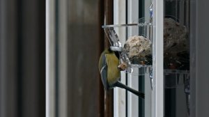 Кормушка Птаха компакт