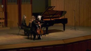 Уникальный концерт: виолончель 1721 года покорила сочинскую публику