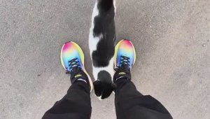 Беженец🇧🇬Несебр. СУМАСШЕДШИЕ ЦЕНЫ НА ПРОДУКТЫ! ОДНИ УКРАИНСКИЕ МАШИНЫ! ЛАСКОВАЯ КОШКА. МЫ-ДРУГИЕ!