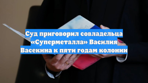 Суд приговорил совладельца «Суперметалла» Василия Васекина к пяти годам колонии