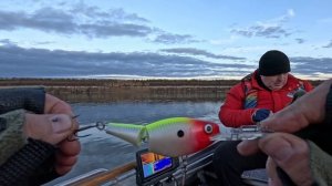 Дон. Щучья осень.