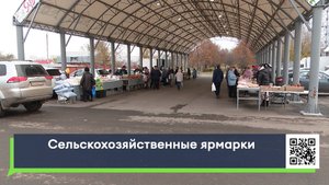 Сельскохозяйственные ярмарки