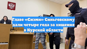 Главе «Сиэми» Синьговскому дали четыре года за хищения в Курской области