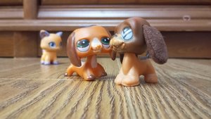 лпс популяр эпизод 21