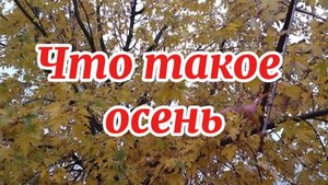 Что такое осень - это небо, плачущее небо под ногами