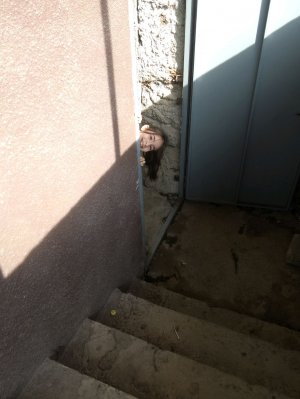 страшный подвал часть  3