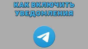 Как включить уведомления в Телеграмме