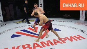 Турнир по ММА состоялся в Комсомольске после большого перерыва