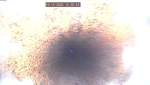 Кур обл Олимпиец