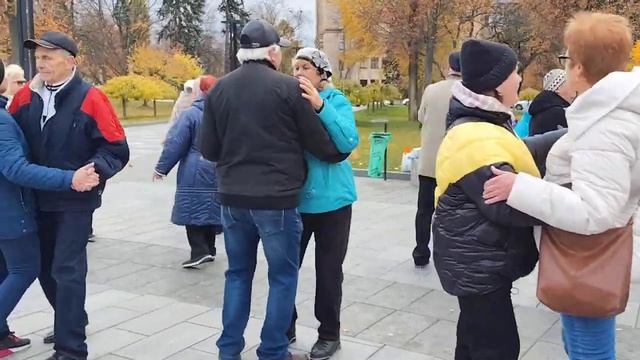 1 НОЯБРЯ 2025 ТОПОЛЯ, ТОПОЛЯ ВСЕ В ПУХУ