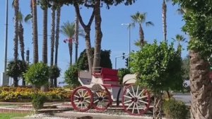 1 ноября АЛАНЬЯ МАХМУТЛАР. ТУРЦИЯ 2025.