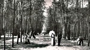 ДАМЫ ИМПЕРСКОГО ПЕТЕРБУРГА