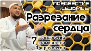 Разрезание сердца («7 предвестий пророчества»)