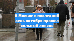 В Москве в последний день октября прошел сильный ливень