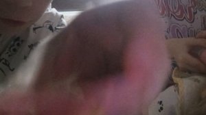 вечер с реборном Ника.