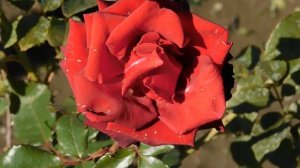 22..10..2025  тэц  ПВН MP4   (374)