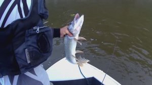 Я запарился рыбу таскать.Часть-2