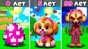 😍 КАК МЕНЯЛАСЬ СКАЙ ЩЕНЯЧИЙ ПАТРУЛЬ В МАЙНКРАФТ?