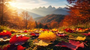 30.10.2025 (Четверг)