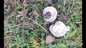 Последний день октября