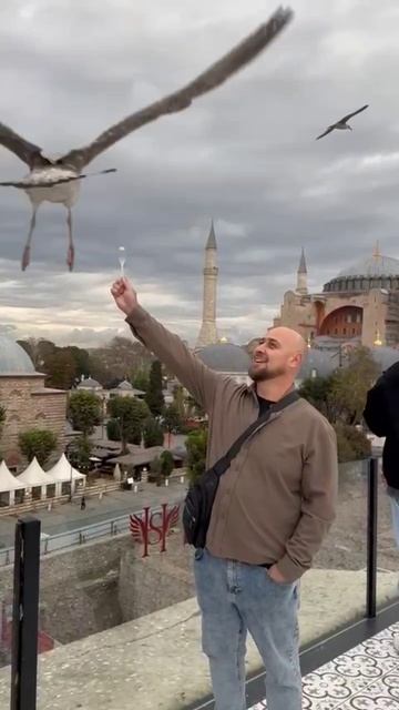 Дикие гуси))) смотреть онлайн