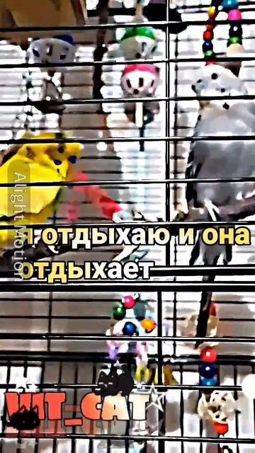 наглая какая ваще уже🙄 смотреть онлайн