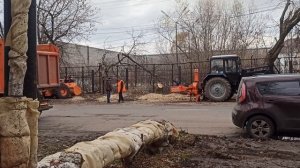 Осеннее прореживание порасли на улице Адмирала Нахимова