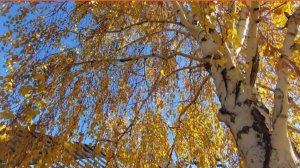 Я ухожу сказал октябрь.Пора шепнул ему ноябрь.С дачи домой .Водораздел Красноярск