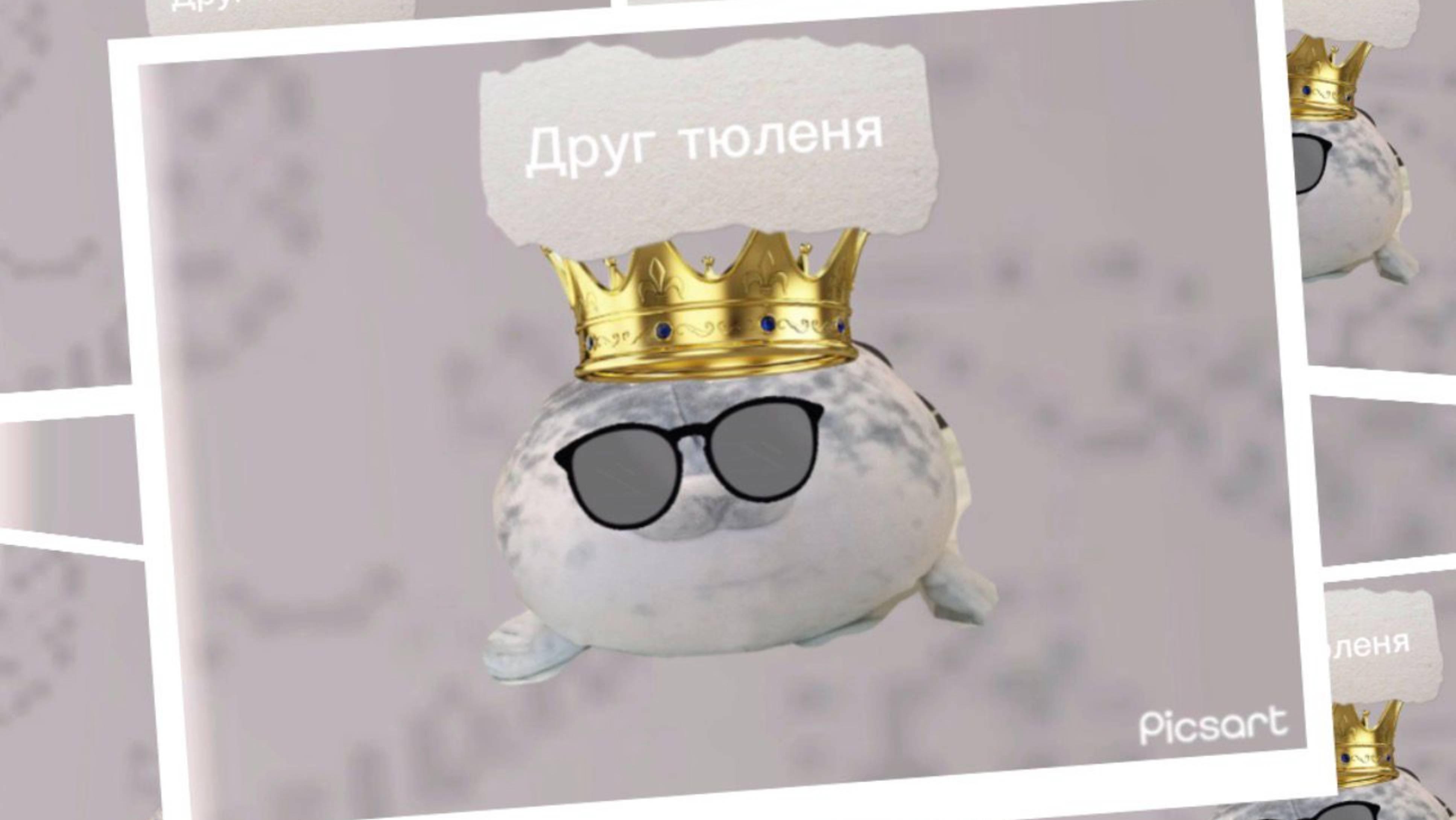 Тюленя 19/Песня "друг тюленя"