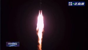 Четыре мышки отправились в космос