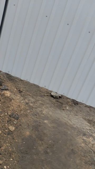 Запретная зона🤣 смотреть онлайн