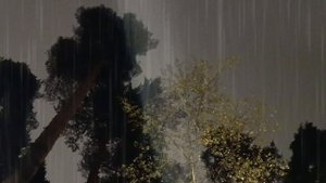 НОЯБРЬСКАЯ ИСПОВЕДЬ