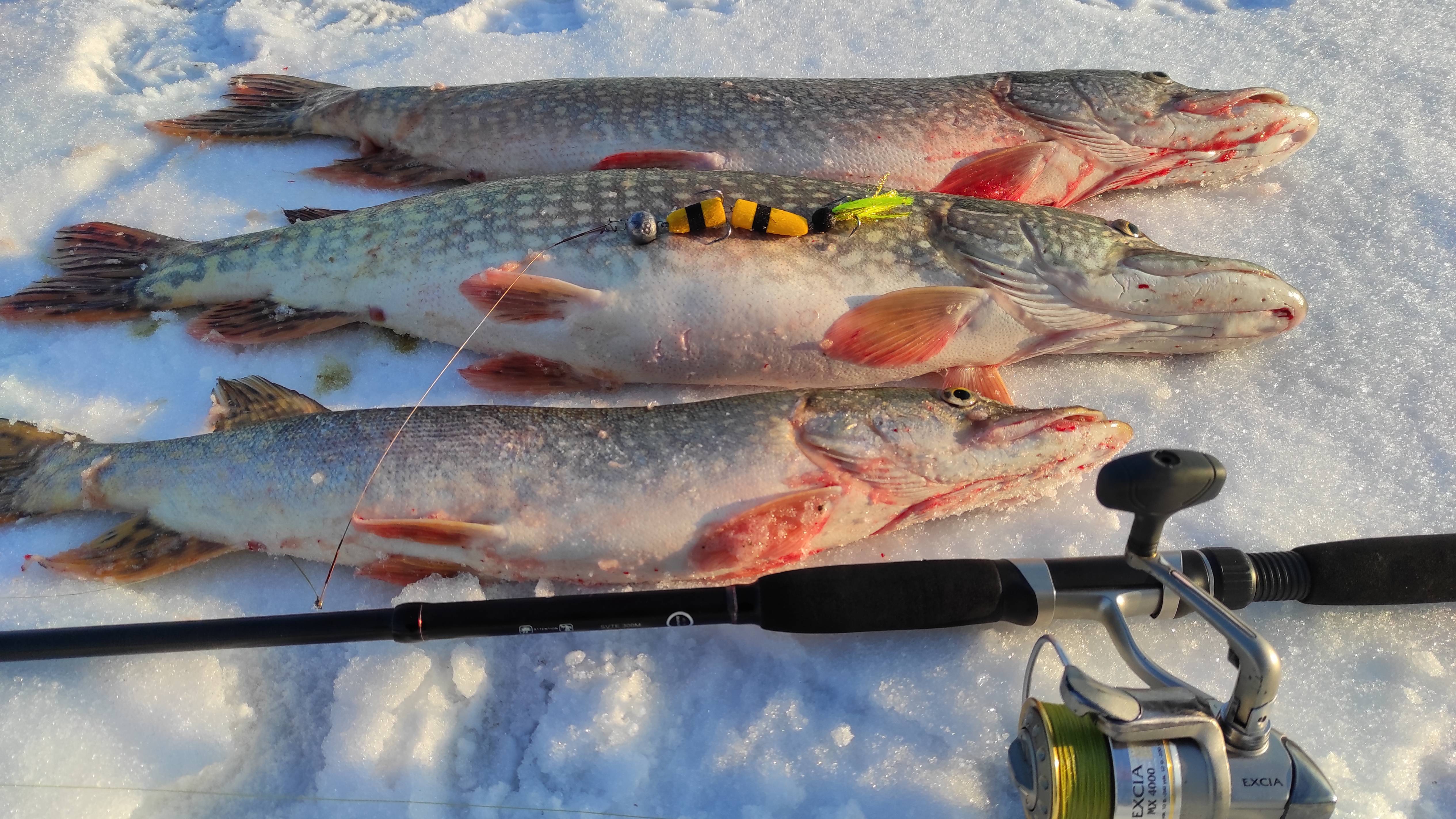 ЗИМНИЙ СПИННИНГ. Как и на что ловить щуку в ноябре?