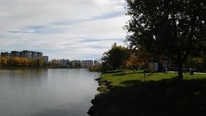 30=10=2025 СОЛНЕЧНЫЙ ОСТРОВ. КРАСНОДАР (82)