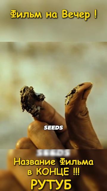 Фильм на вечер