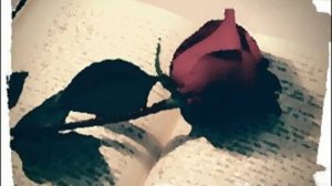 Круглый стол  «Любовь длиною в жизнь: Марианна Ивановна Воропанова в кругу коллег и друзей»