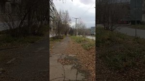 Ноябрь начало. Миасс. Гуляю.